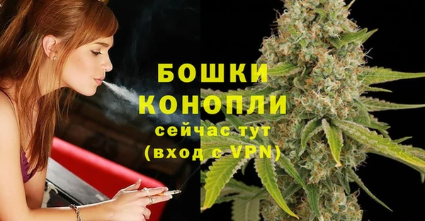 apvp Рославль