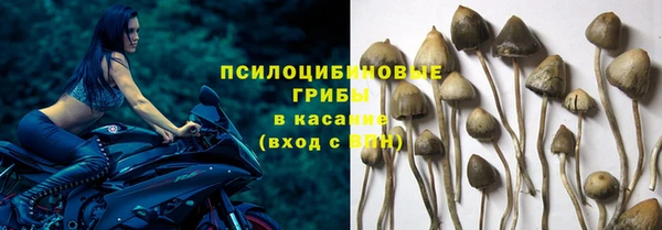 прущая мука Ростов