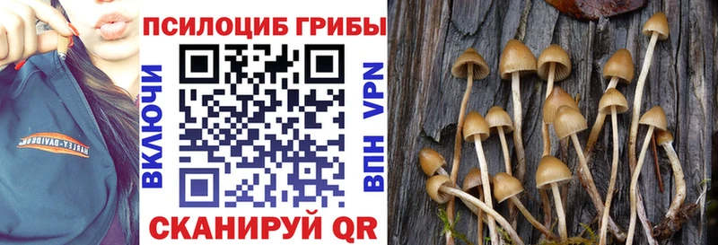 Псилоцибиновые грибы GOLDEN TEACHER Кондопога