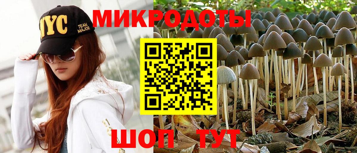 Кондопога  Псилоцибиновые грибы Psilocybe  Вход с VPN 